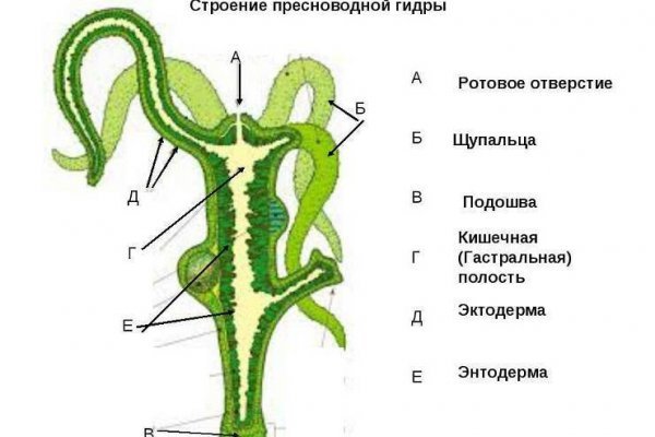 Кракен супернет в тор