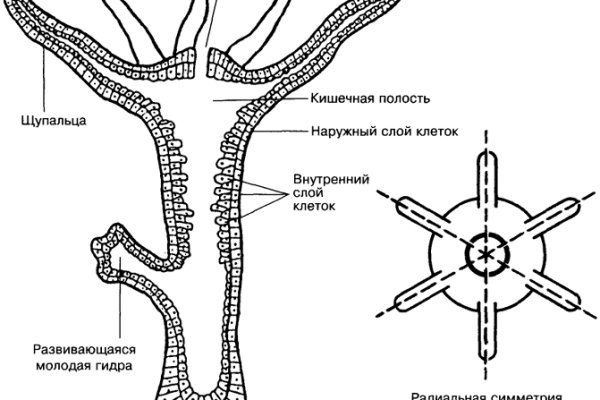 Кракен супернет ссылка