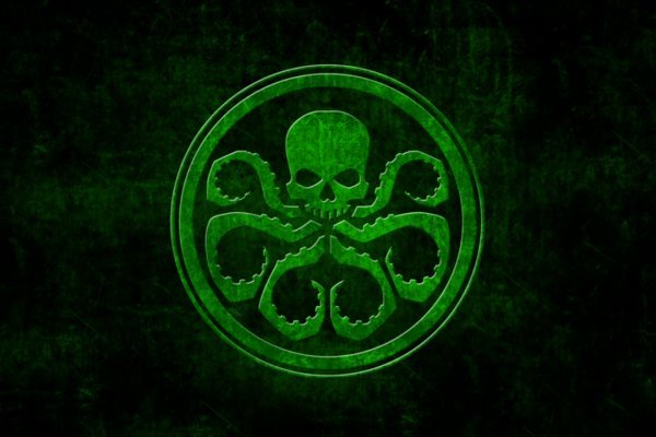 Kraken19 at