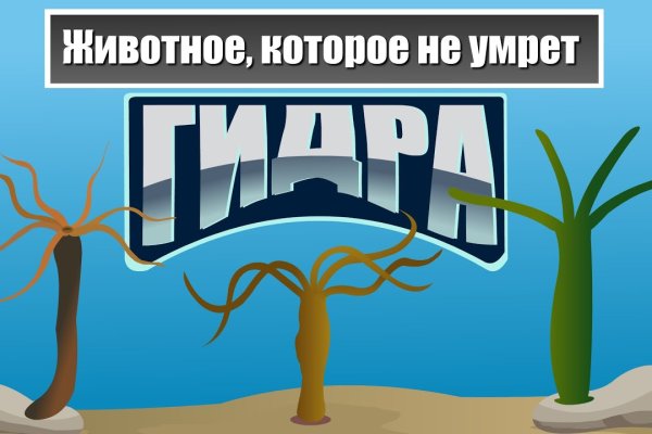 Почему не могу зайти на кракен