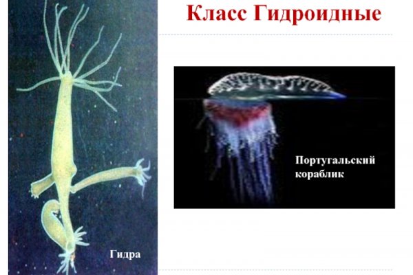 Список сайтов супернета